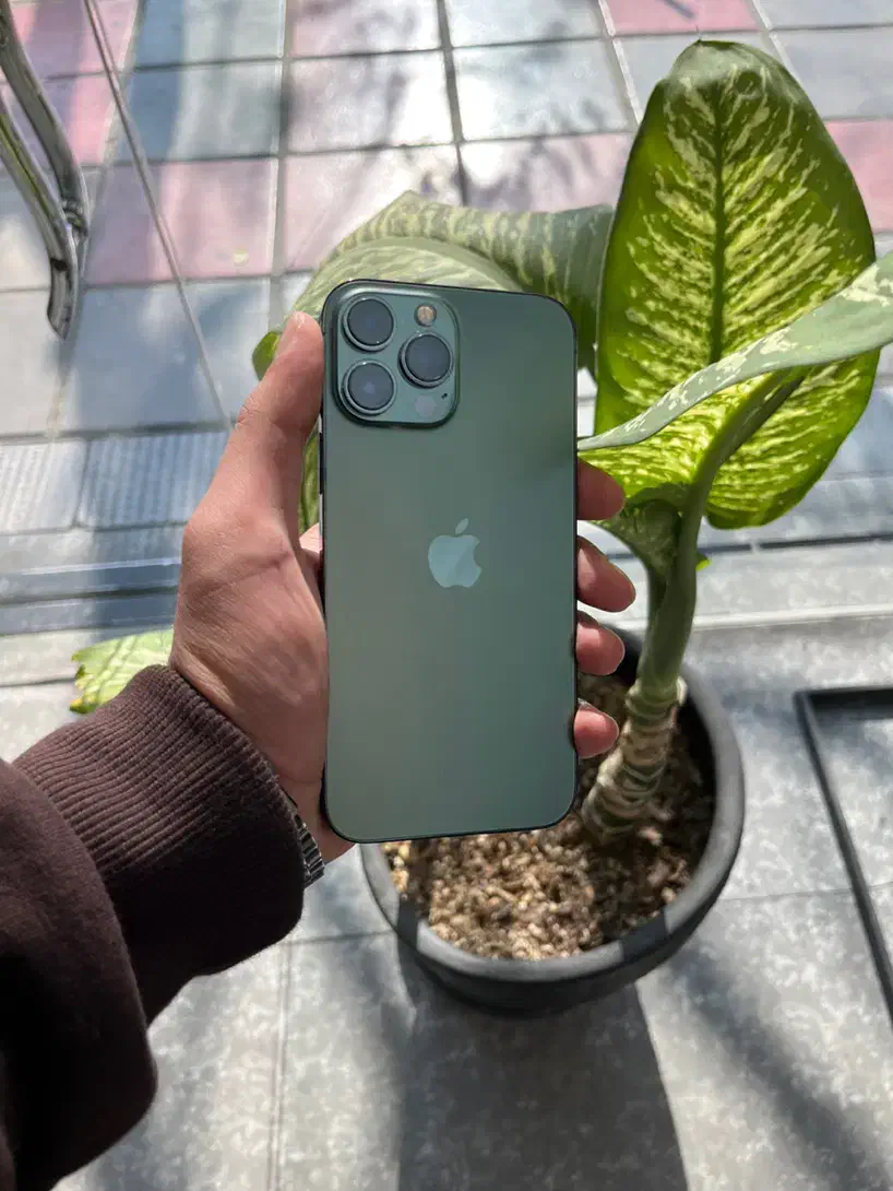 iPhone 13 Pro Max 128G پلمپ|موبایل|قم, زنبیل آباد|دیوار