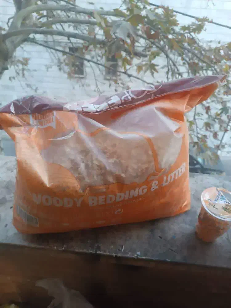 غذای خرگوش|موش و خرگوش|تهران, حشمتیه|دیوار