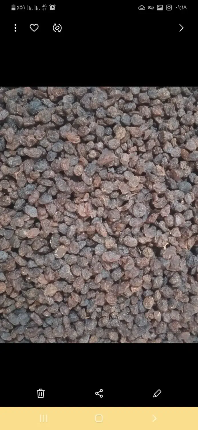 تخمه و کشمش|خوردنی و آشامیدنی|اندیشه, اندیشه فاز ۱|دیوار