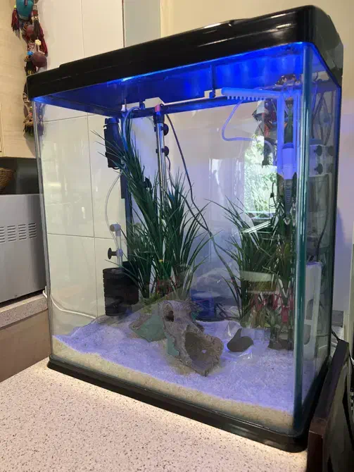 ست کامل آکواریوم با تجهیزات حرفهای|ماهی|تهران, قیطریه|دیوار