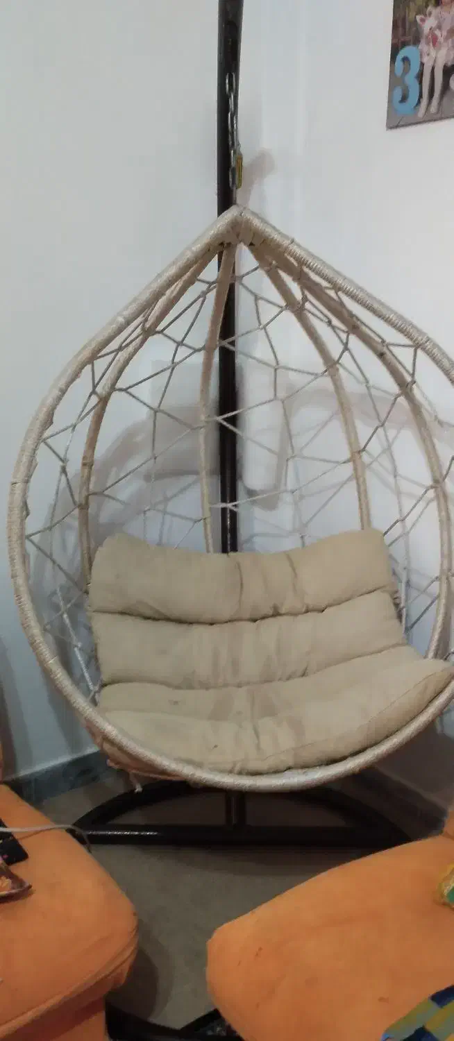 تاپ توپی|کلکسیون و سرگرمی|رودسر, |دیوار