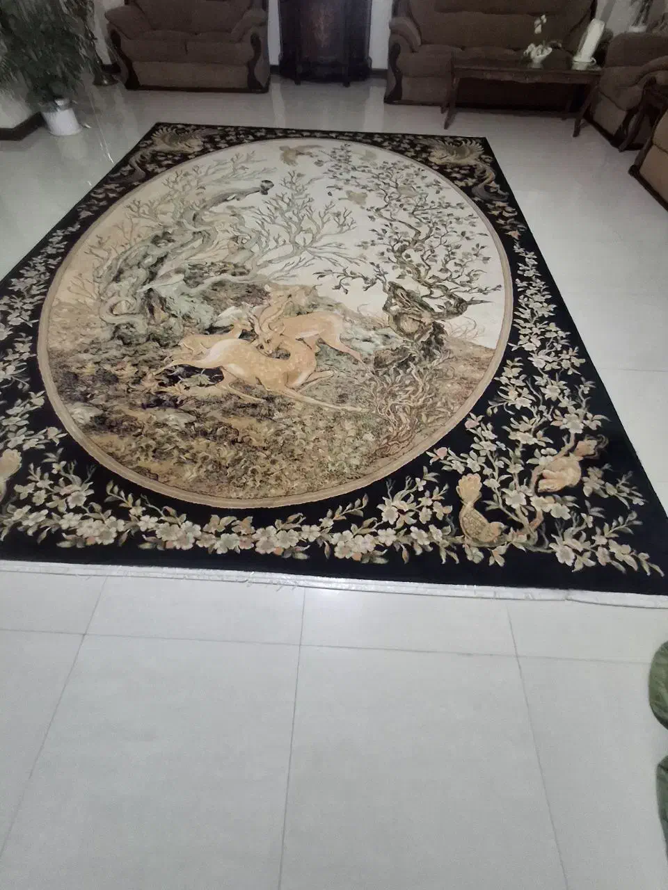 فروش فوری فرش 12 متری|فرش|امیرکلا, |دیوار