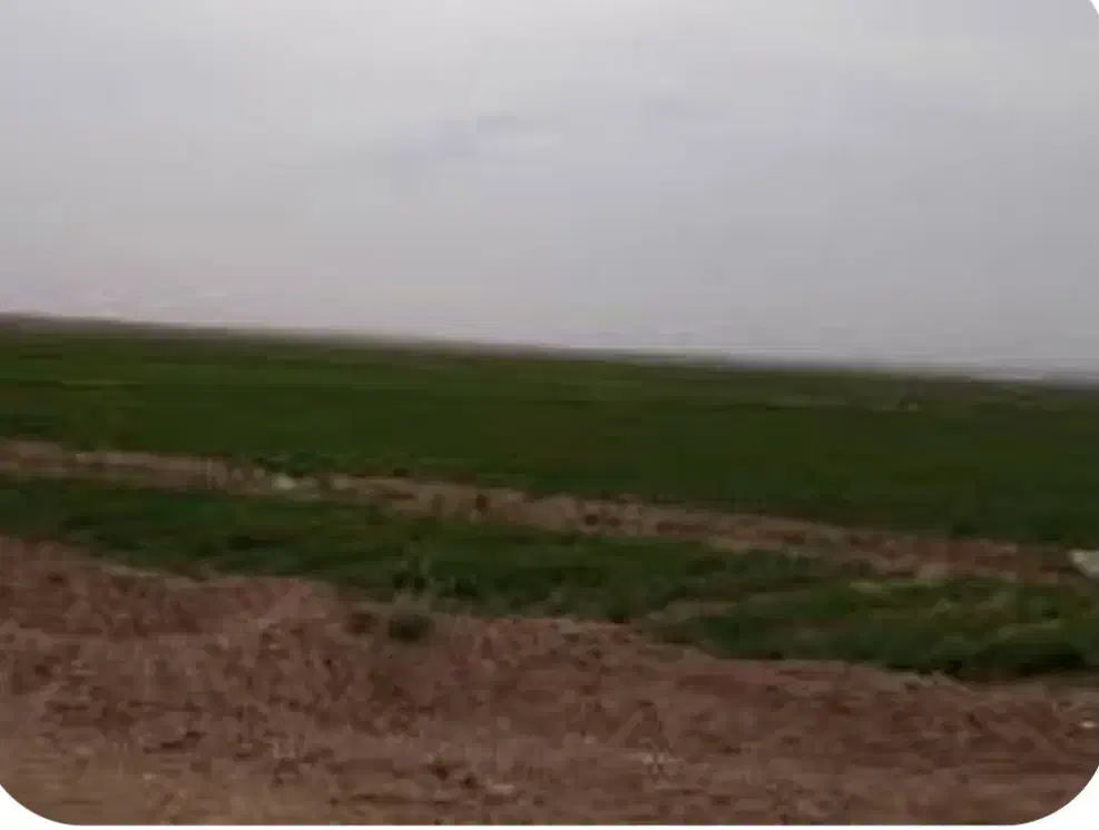 زمین در روستایی بهرام اباد یک هکتار آب اخیاری|اجارهٔ دفتر صنعتی، کشاورزی، تجاری|اسماعیلی, |دیوار