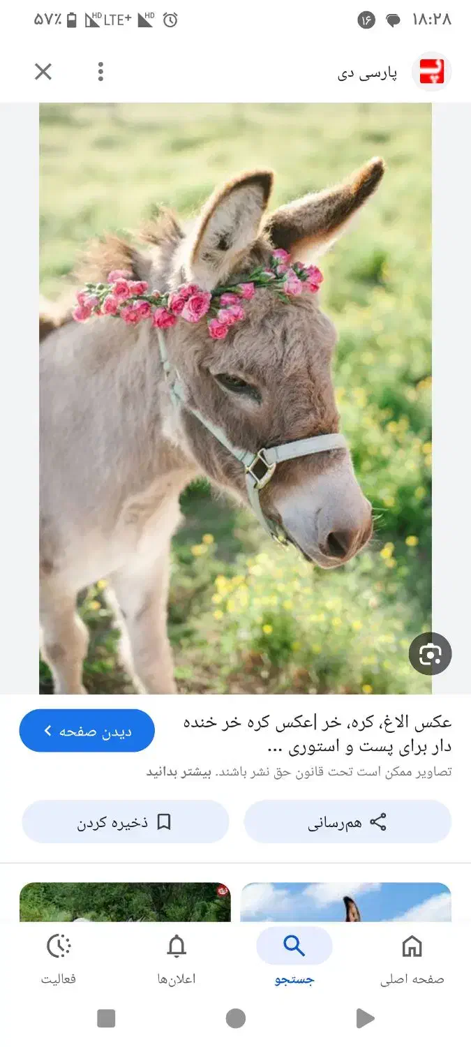 فروش شیر الاغ|آرایشی، بهداشتی، درمانی|چاپشلو, |دیوار