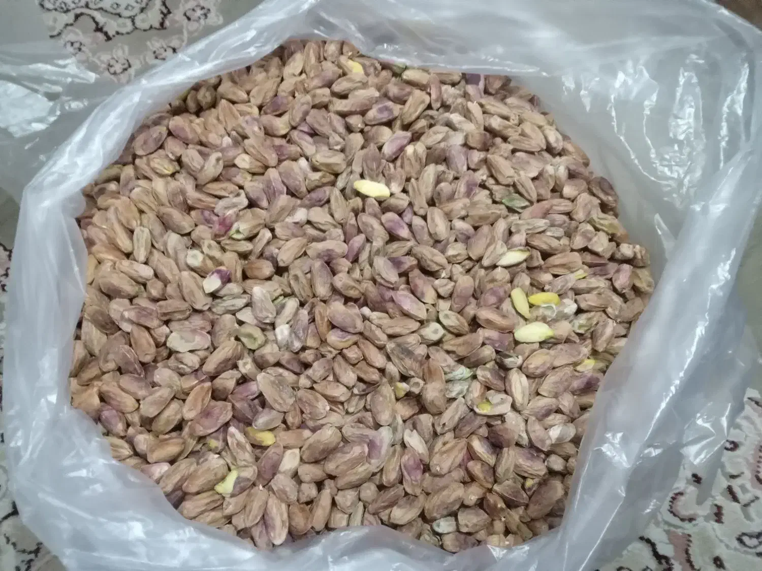 پسته ومغزپسته فروشی|خوردنی و آشامیدنی|قم, شهدا|دیوار