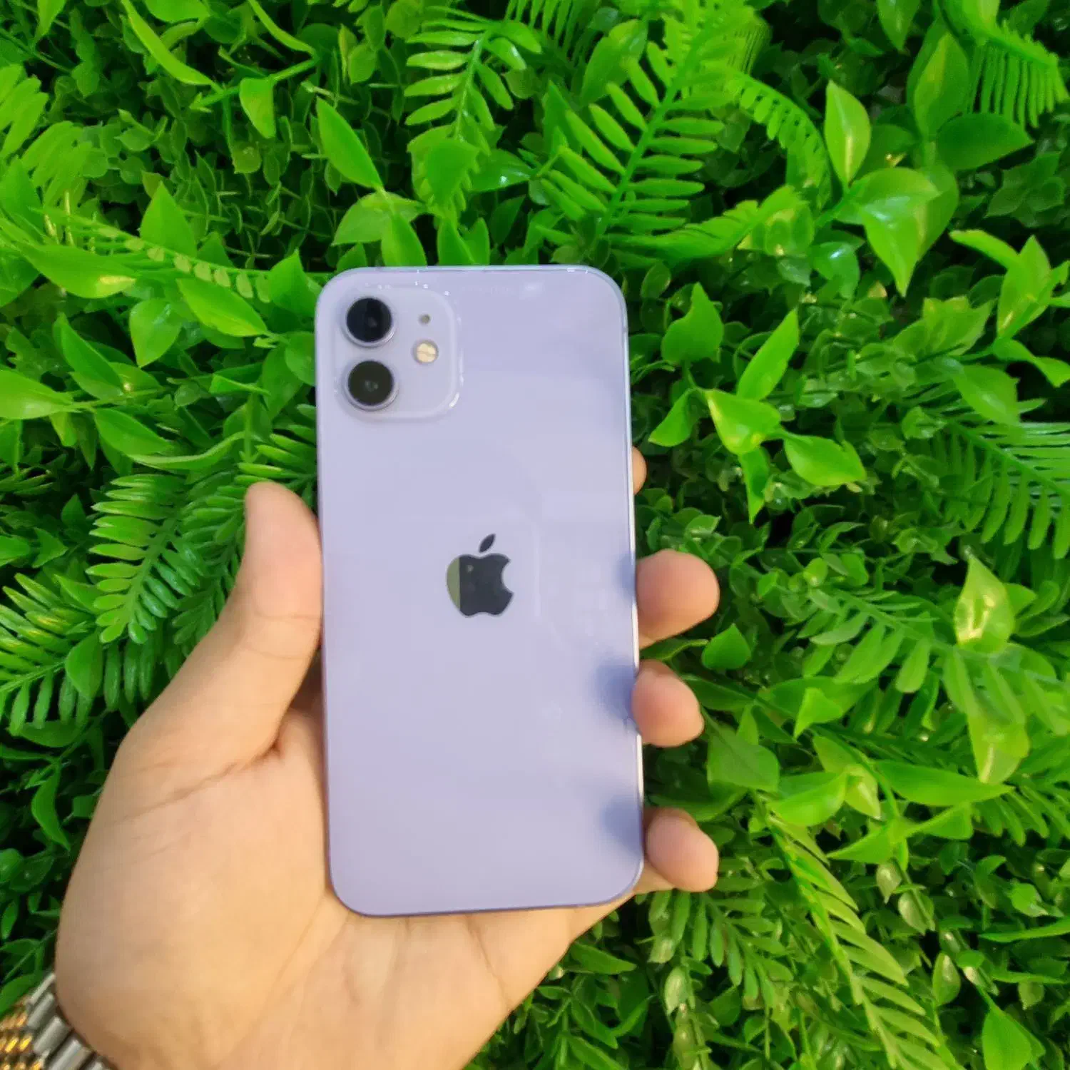 IPhone 12 normal 128g b77|موبایل|ارومیه, |دیوار