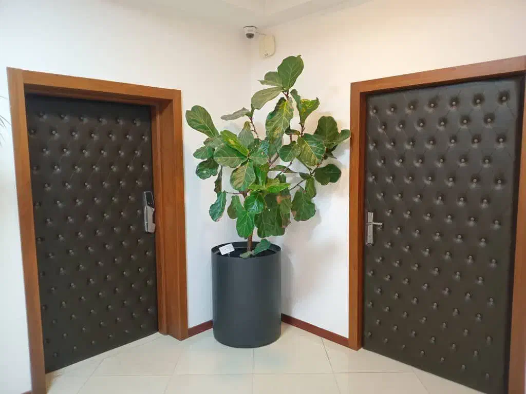 آکوستیک درب لمسه کوبی ضد آب سازی تضمینی|خدمات پیشه و مهارت|تهران, ایرانشهر|دیوار