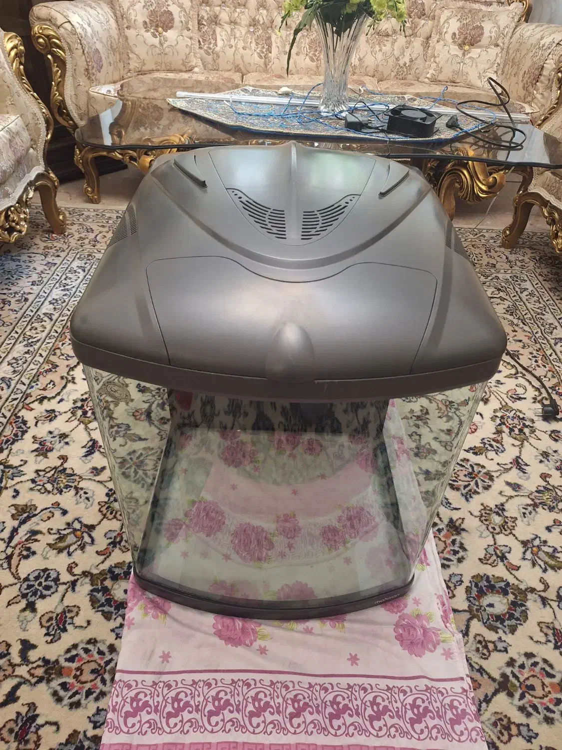 اکواریوم  شرکتی  ماهیران|ماهی|تهران, پونک|دیوار