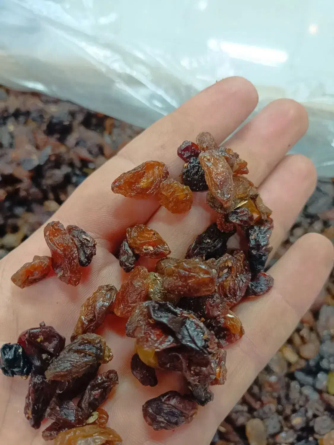 کشمش شیرین گله پاک شده و قیمت خوب|خوردنی و آشامیدنی|اصفهان, زهران|دیوار