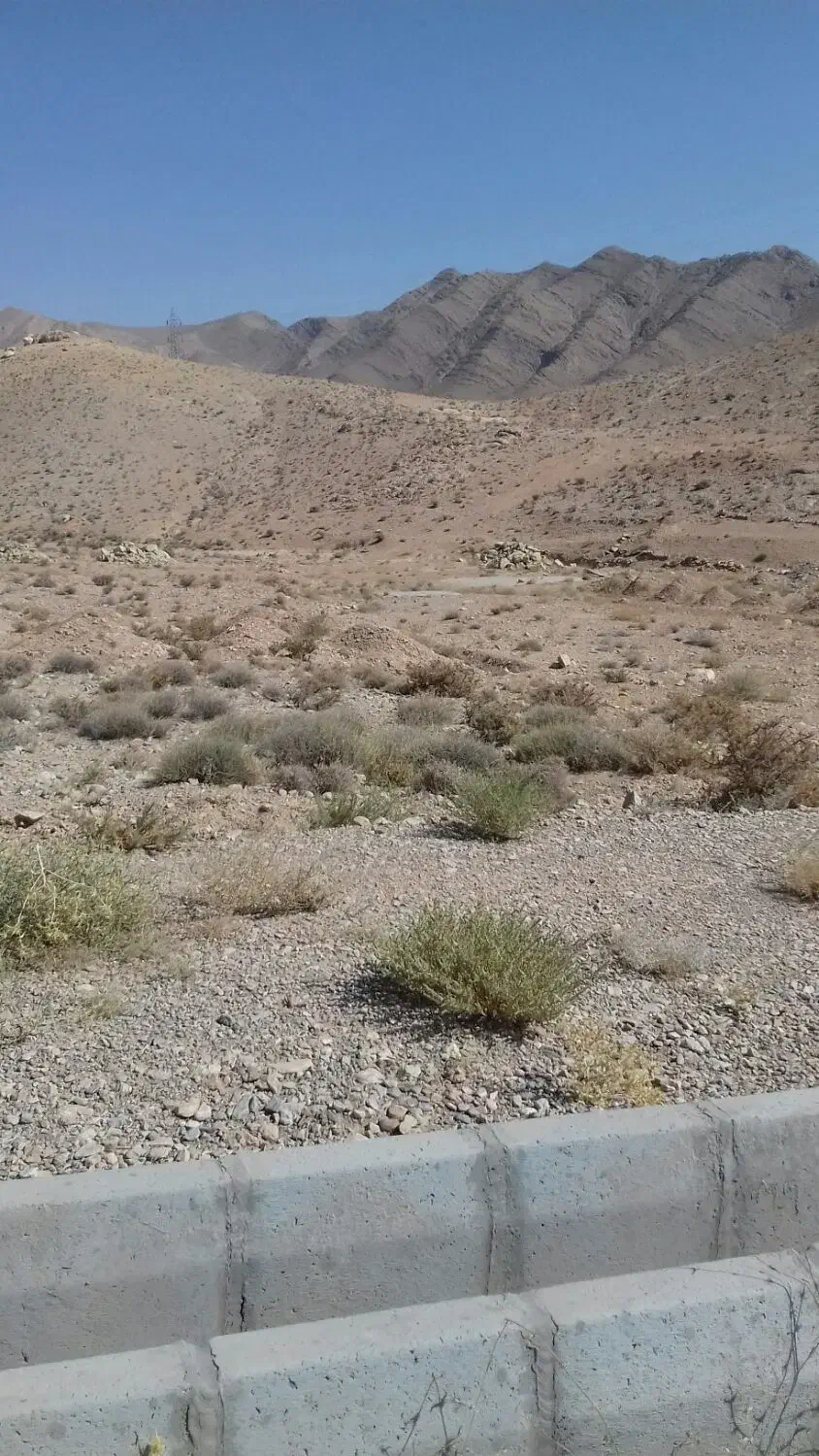 شهمیرزاد جنب پمپ بنزین فروش فوری|فروش زمین و ملک کلنگی|شهمیرزاد, |دیوار