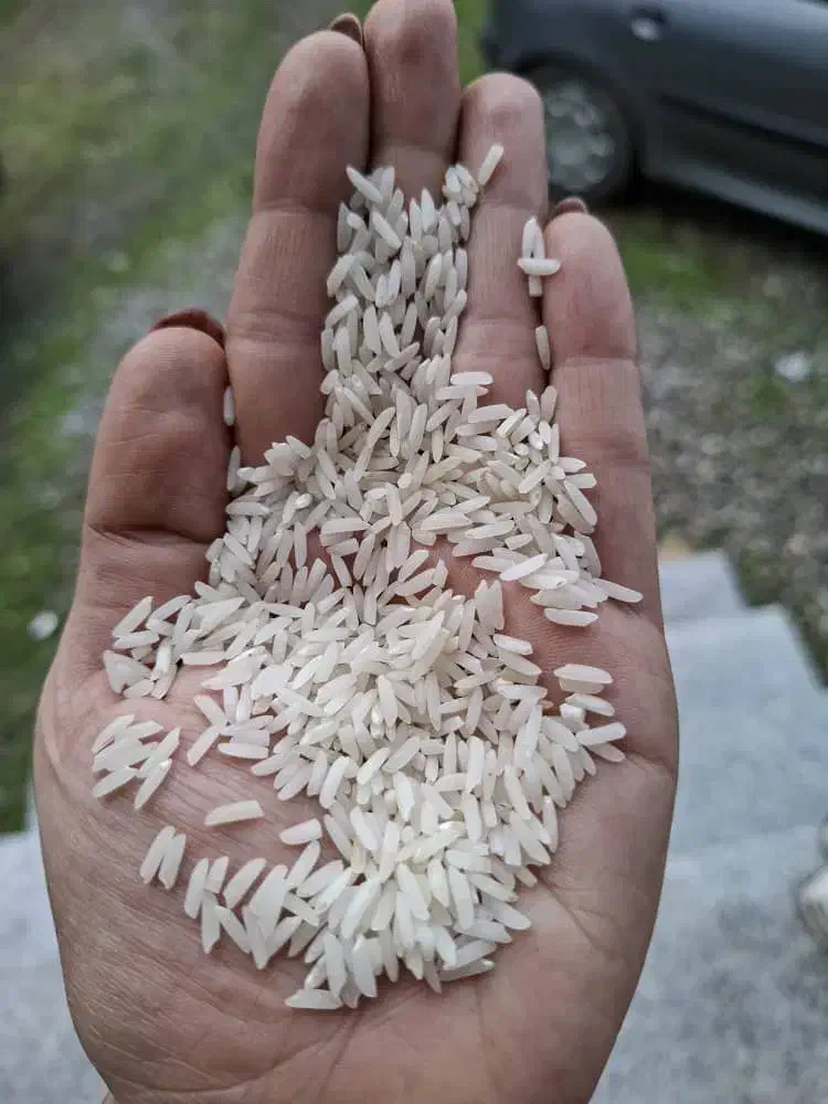 برنج هاشمی اعلا درجه یک|خوردنی و آشامیدنی|تالش, هشتپر|دیوار