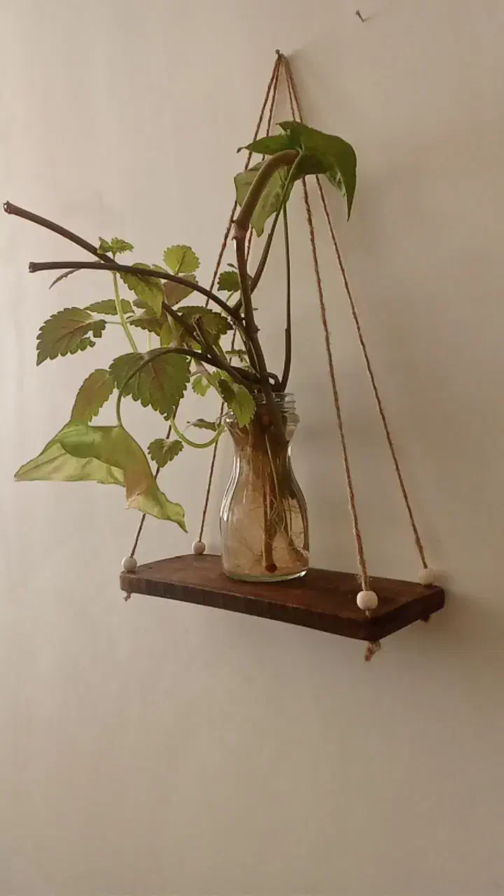 شلف دیواری|کتابخانه، شلف، قفسه‌های دیواری|بجنورد, |دیوار