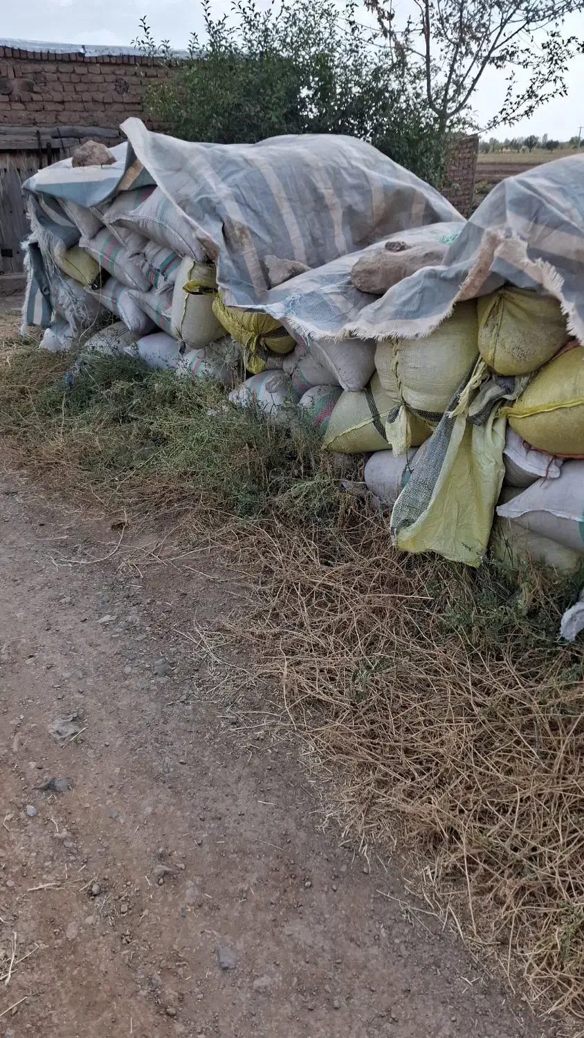 کاه یونجه|خدمات باغبانی و درختکاری|خوی, |دیوار