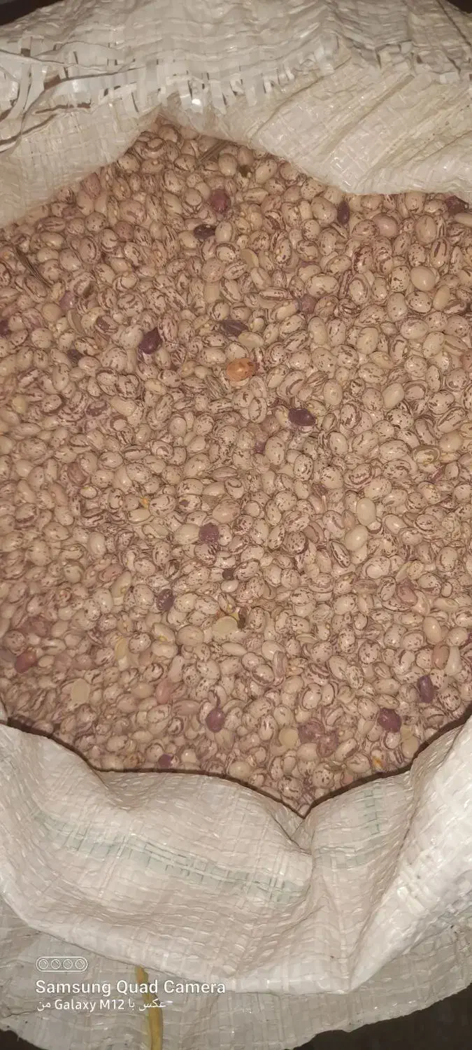 لوبیا چیتی مرغوب|عمدهفروشی|بهمن صغاد, |دیوار