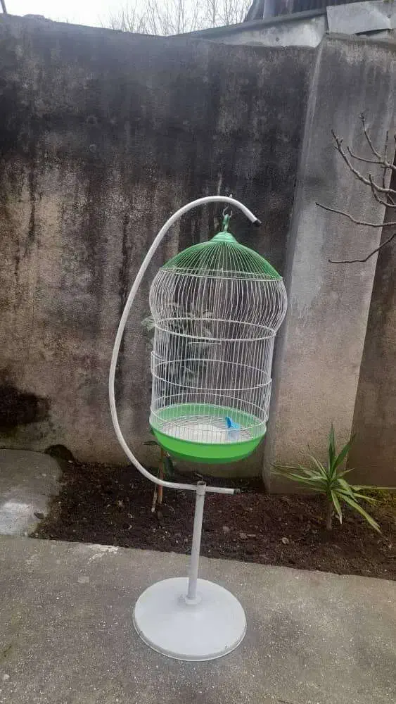 قفس پرنده|لوازم جانبی حیوانات|بندر انزلی, شیلات|دیوار