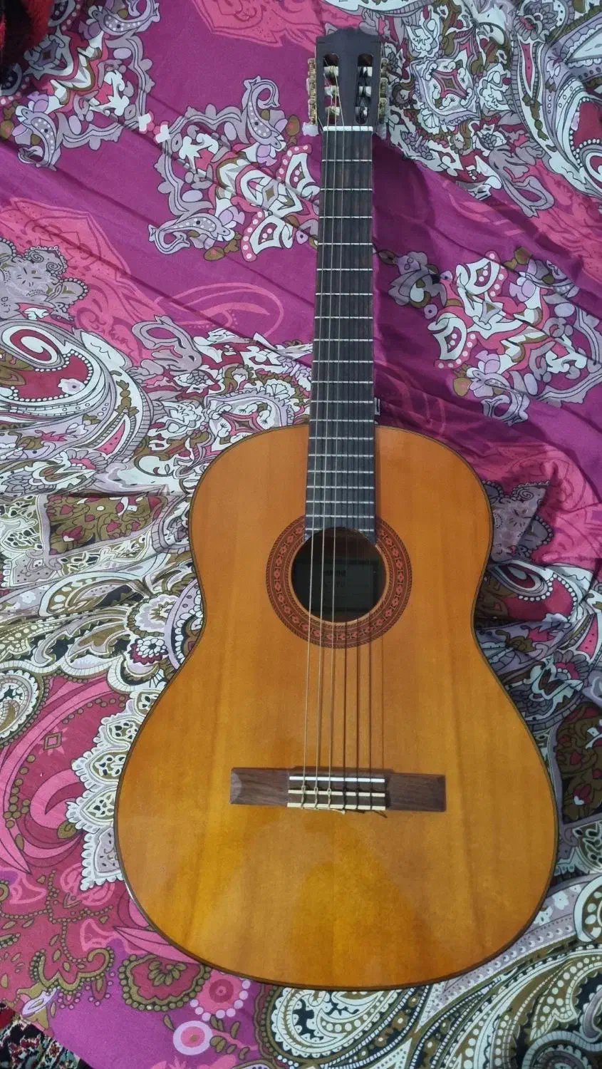 گیتار c70|گیتار، بیس، امپلیفایر|ساری, |دیوار