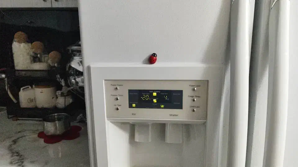 یخچال سایت|یخچال و فریزر|کلاترزان, |دیوار