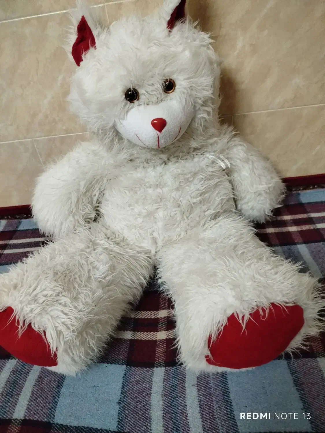 خرس خزی|اسباب و اثاث بچه|بندر گناوه, |دیوار