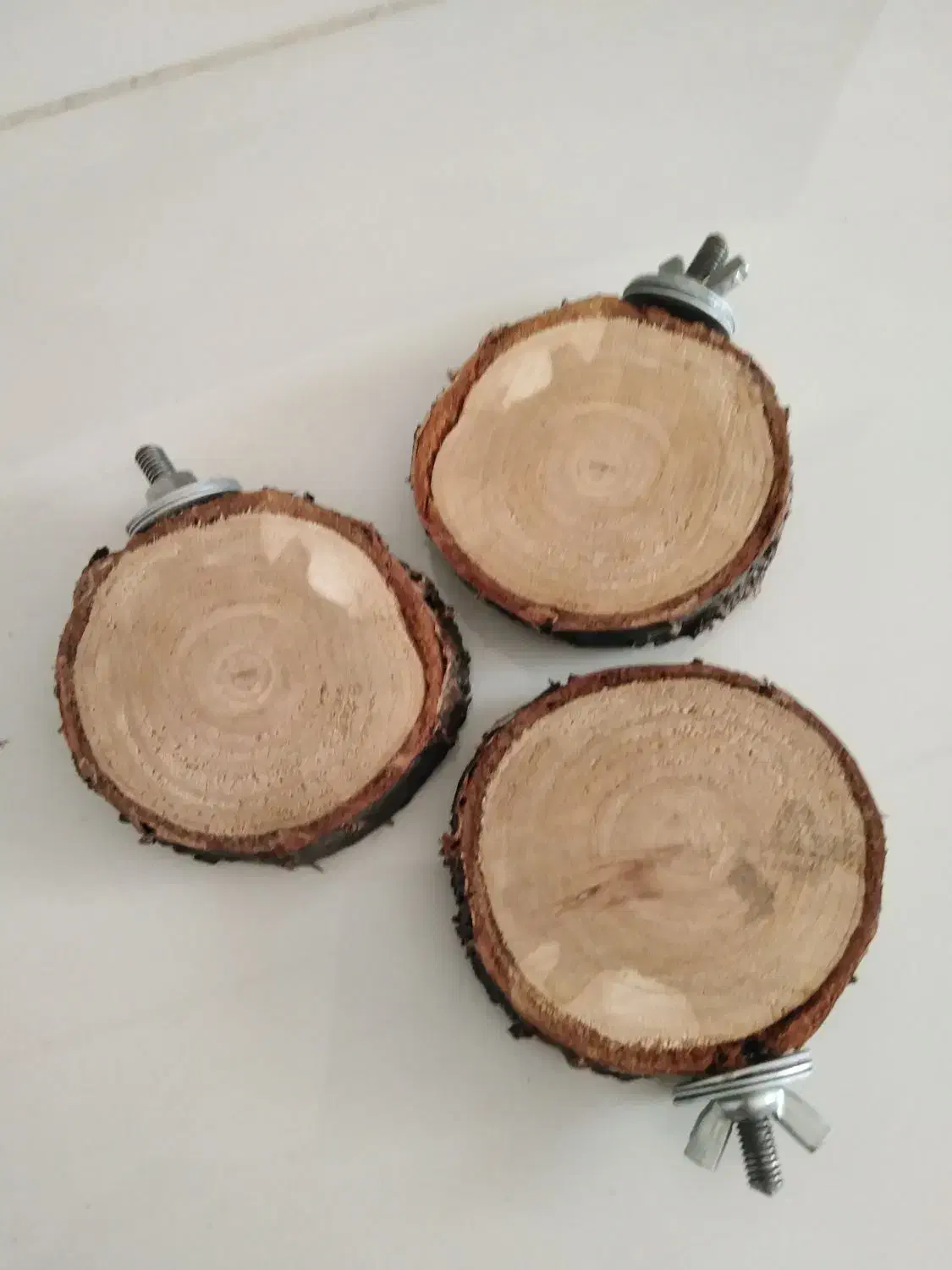 ساخت انواع لانه ی پرنده درسایز های مختلف|لوازم جانبی حیوانات|مرودشت, پشت سایپا|دیوار