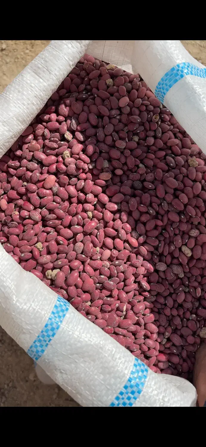 لوبیا قرمز درجه یک|خوردنی و آشامیدنی|پاسارگاد, |دیوار