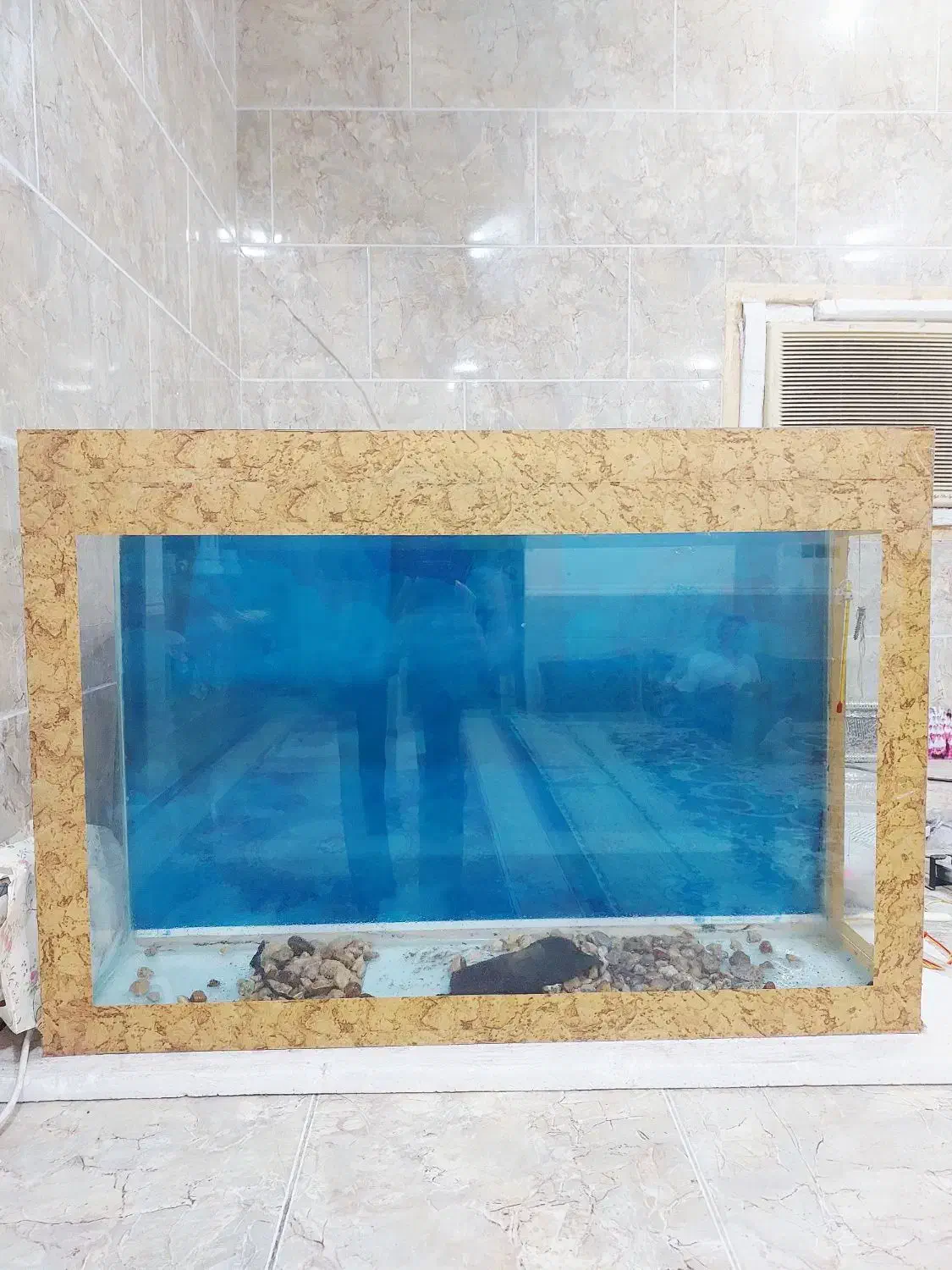 اکواریوم|ماهی|شبانکاره, |دیوار