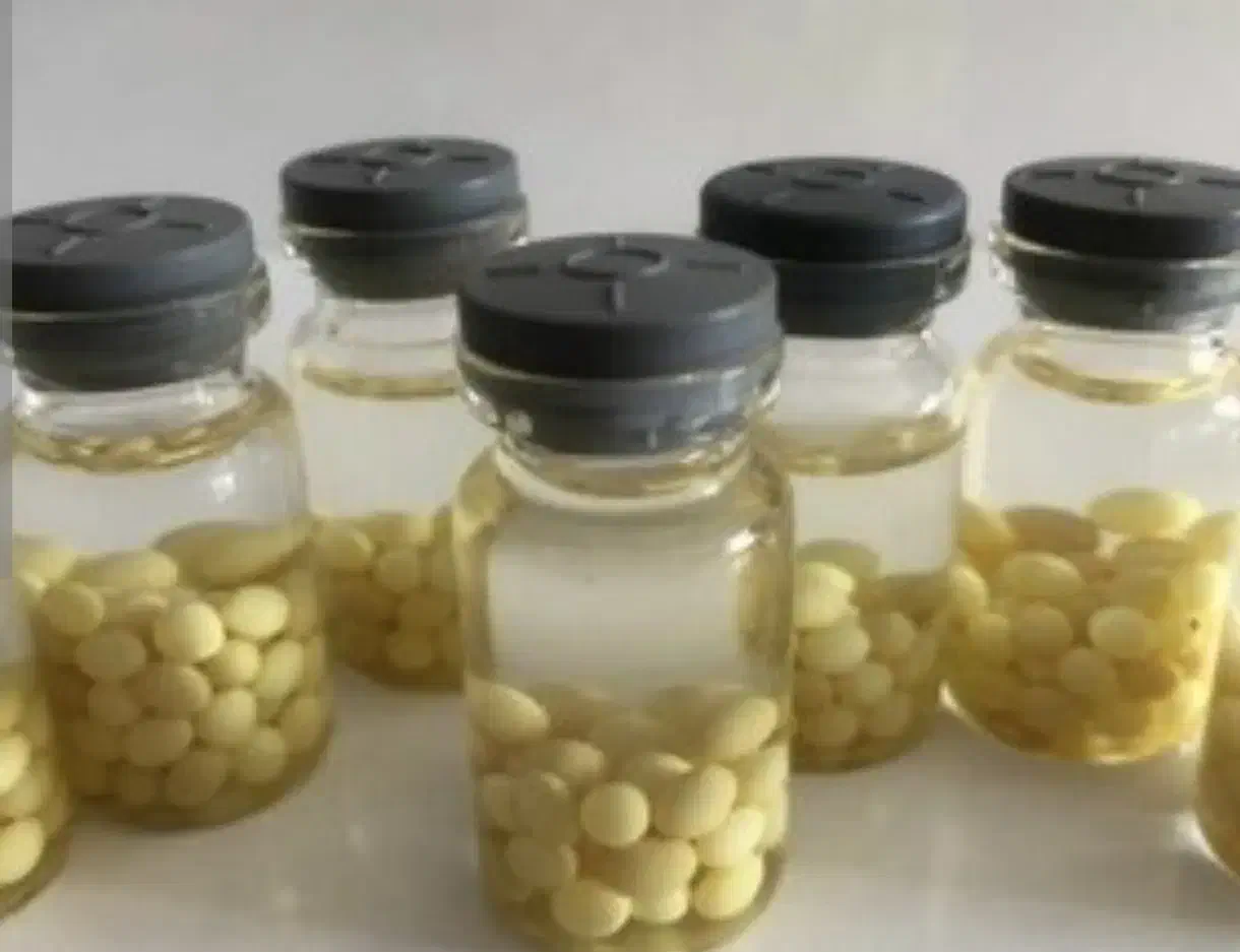 خاویار حلزون|خزنده|یزد, |دیوار