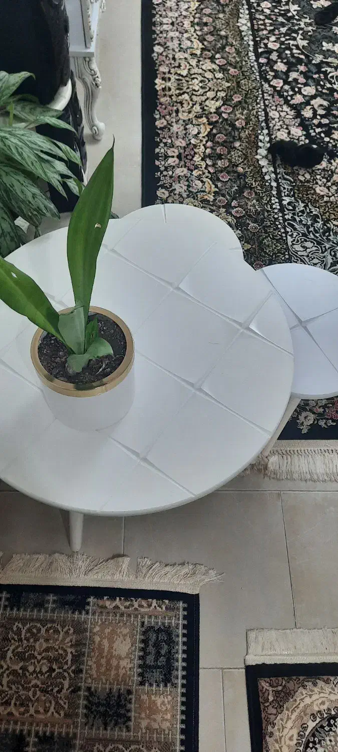 جلو مبلی|مبلمان خانگی و میز عسلی|کوچصفهان, |دیوار