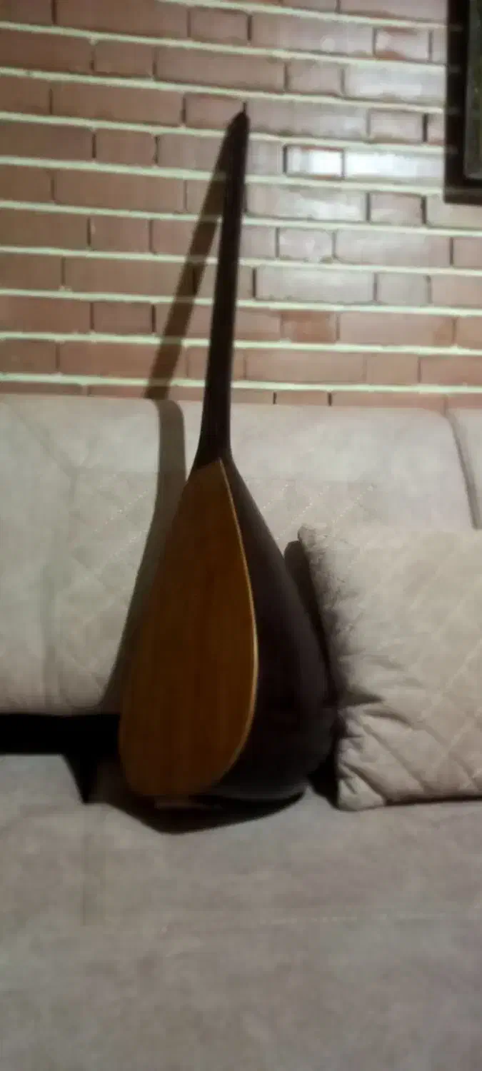 ساز قوپوز|سازهای سنتی|تبریز, |دیوار