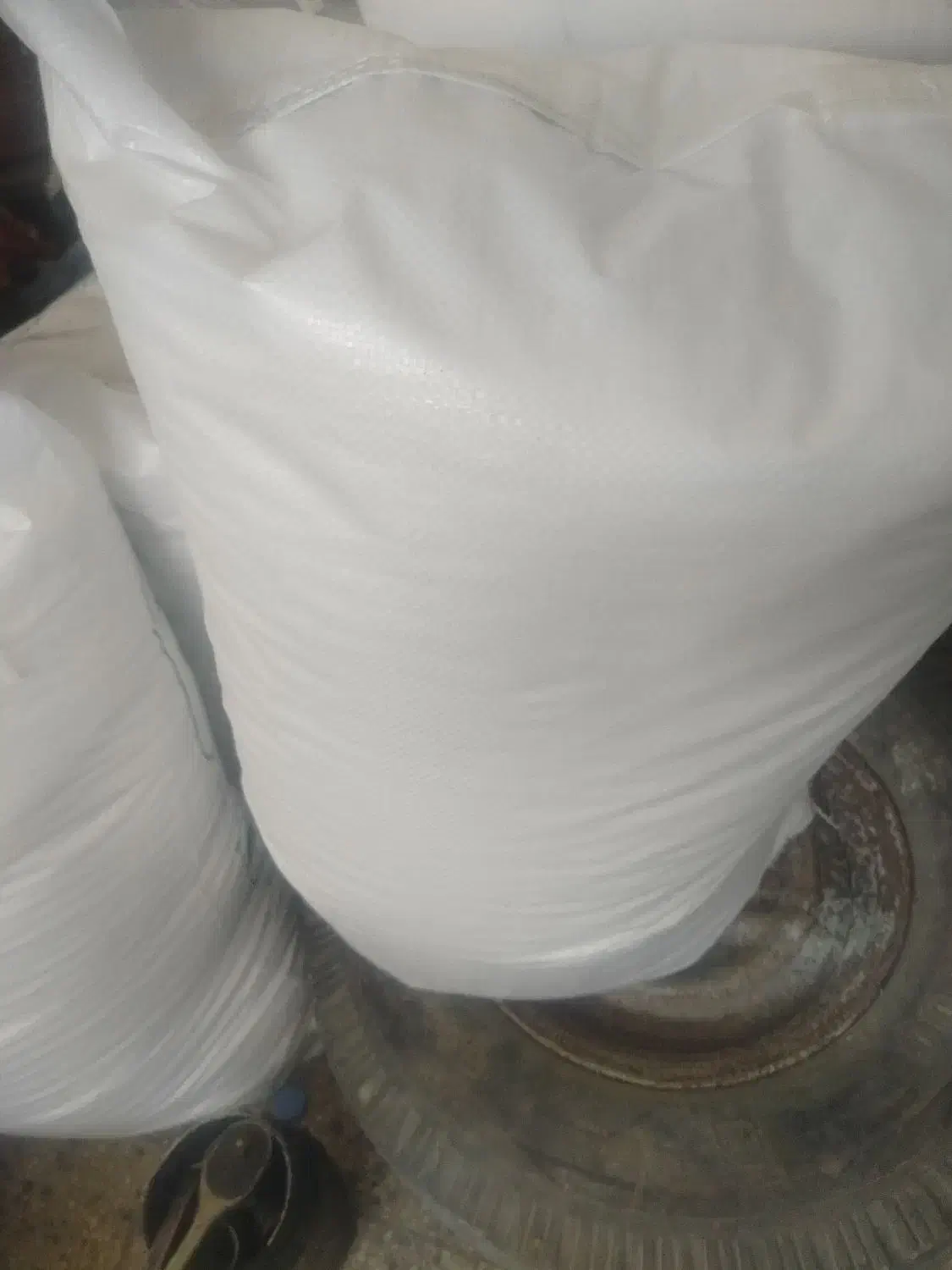 کودش سفیدتعدادمحدود|خدمات باغبانی و درختکاری|سبزوار, باهنر|دیوار