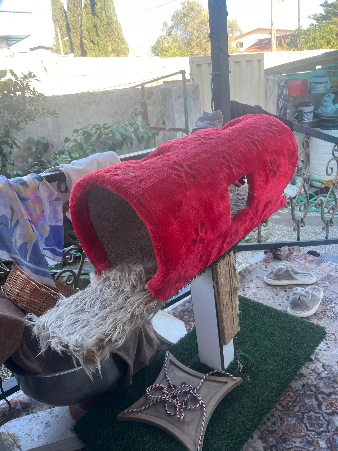 جای بازی سگ گربه دارای تخت خاب چمن مصنوعی ..|لوازم جانبی حیوانات|چالوس, |دیوار