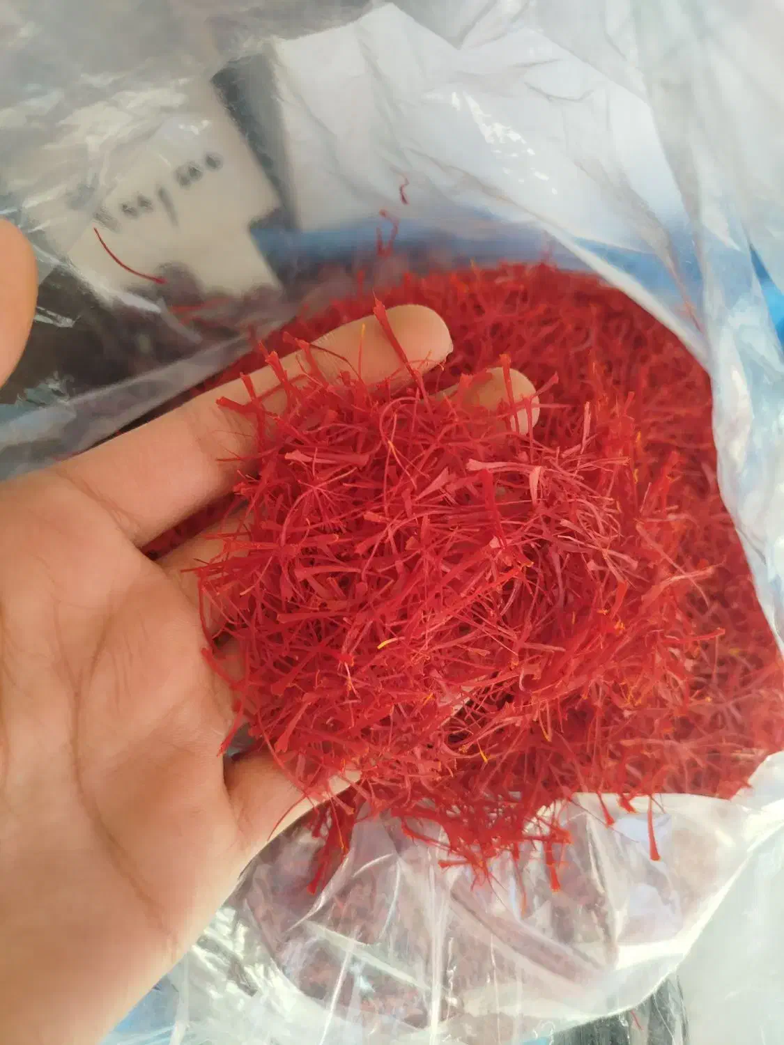 انواع زعفران (سرگل نگین دخترپیچ) مستقیم از قاینات|خوردنی و آشامیدنی|قائن, |دیوار