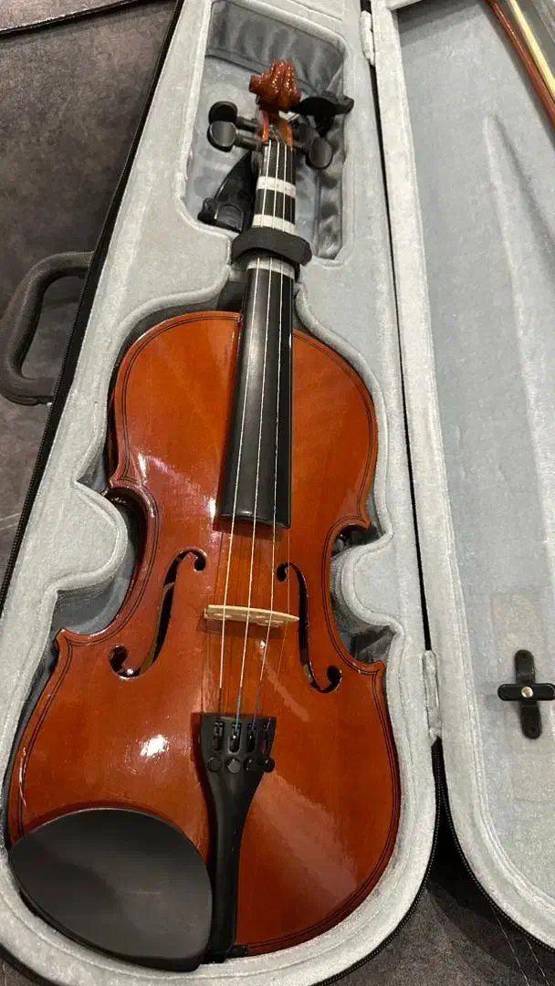 ویولون|ویولن|کرج, شهرک یاس جنوبی|دیوار