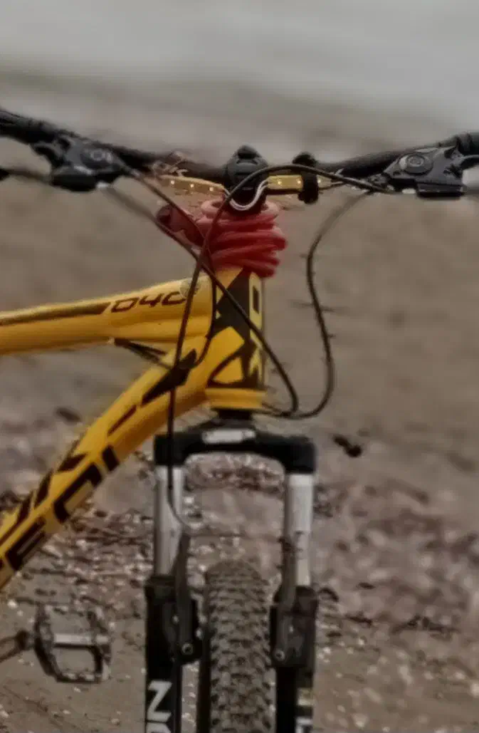 فروش دوچرخه|دوچرخه، اسکیت، اسکوتر|نور, |دیوار