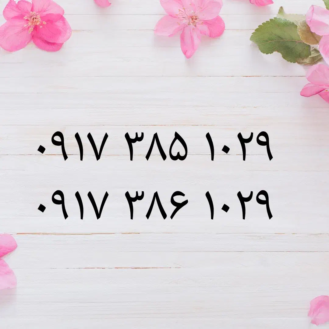 09173851029|سیمکارت|شیراز, دروازه قران|دیوار