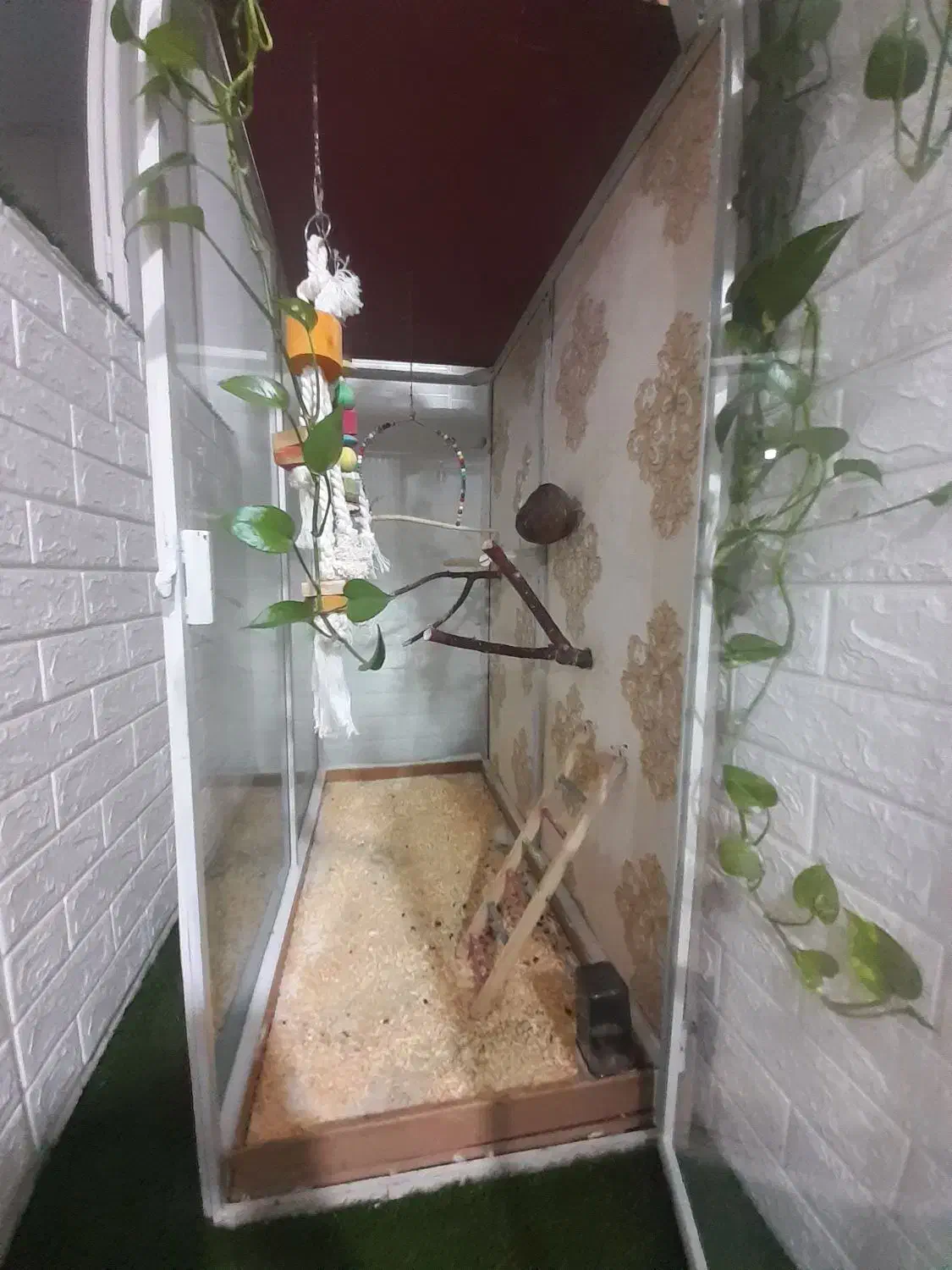 قفس پرنده|لوازم جانبی حیوانات|پاکدشت, پاکدشت (مامازند)|دیوار