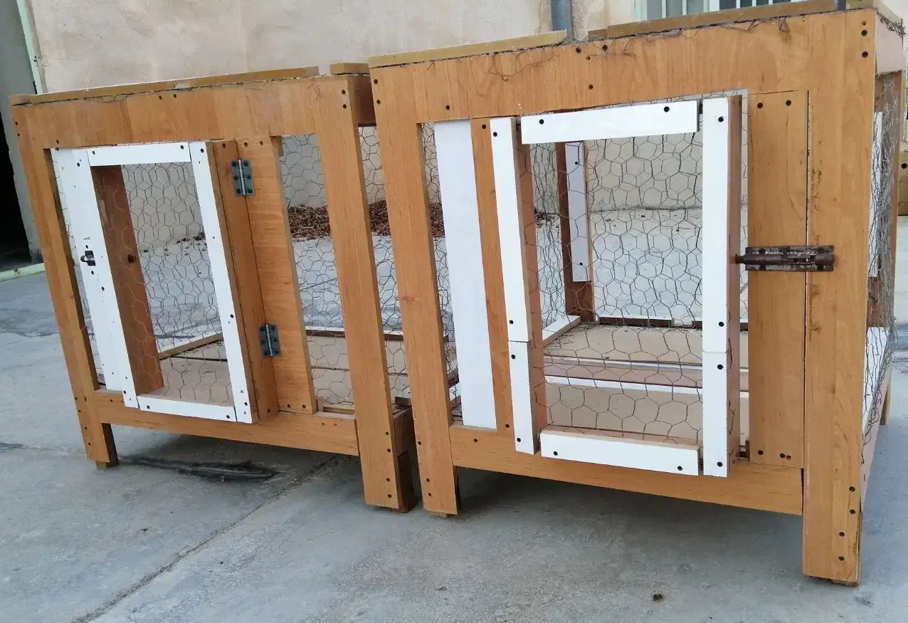 قفس پرنده جفت خون کبوتر|لوازم جانبی حیوانات|بوشهر, |دیوار