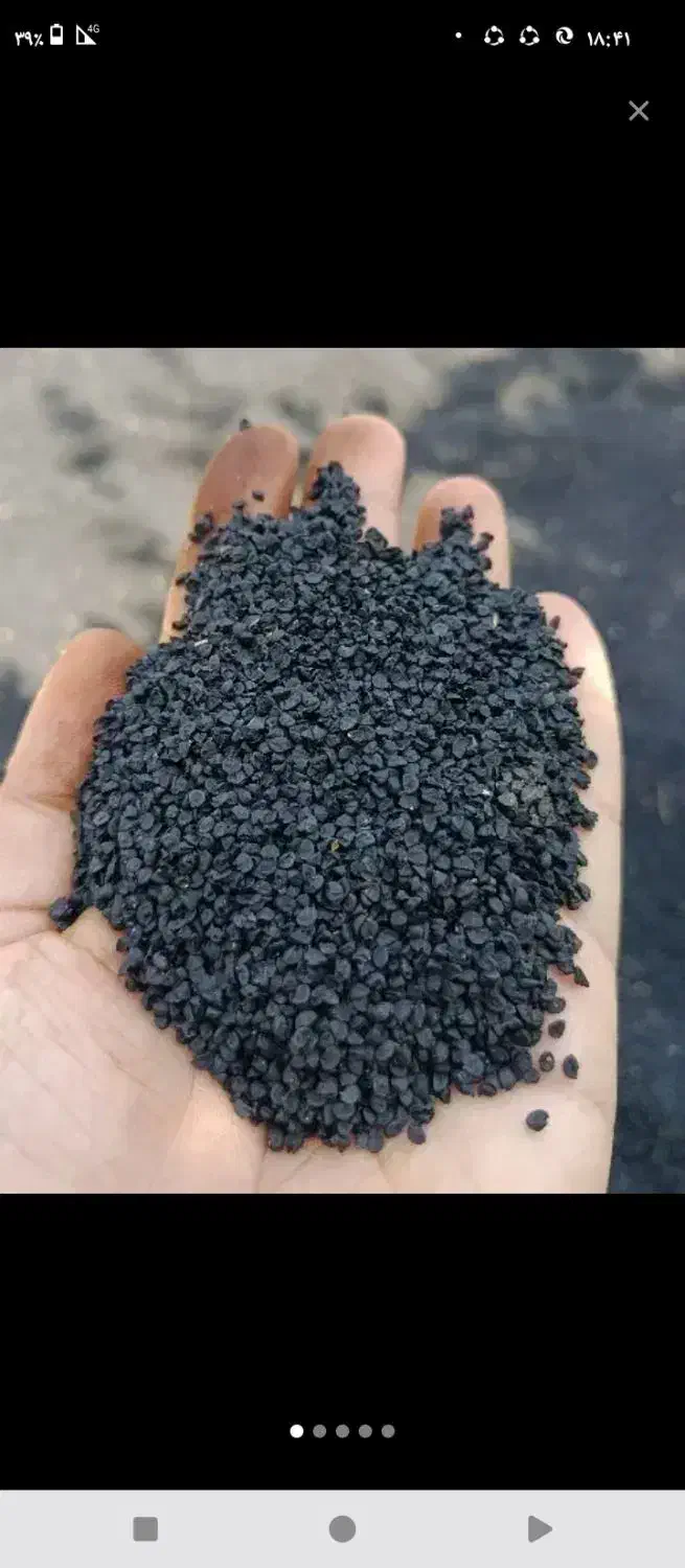 بذر پیاز مینروا|گل و گیاه طبیعی|فسا, |دیوار