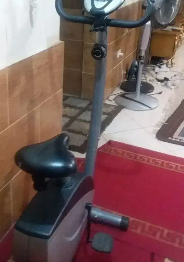 دوچرخه ثابت تاپ اسپرت|تجهیزات ورزشی|لنجان, |دیوار