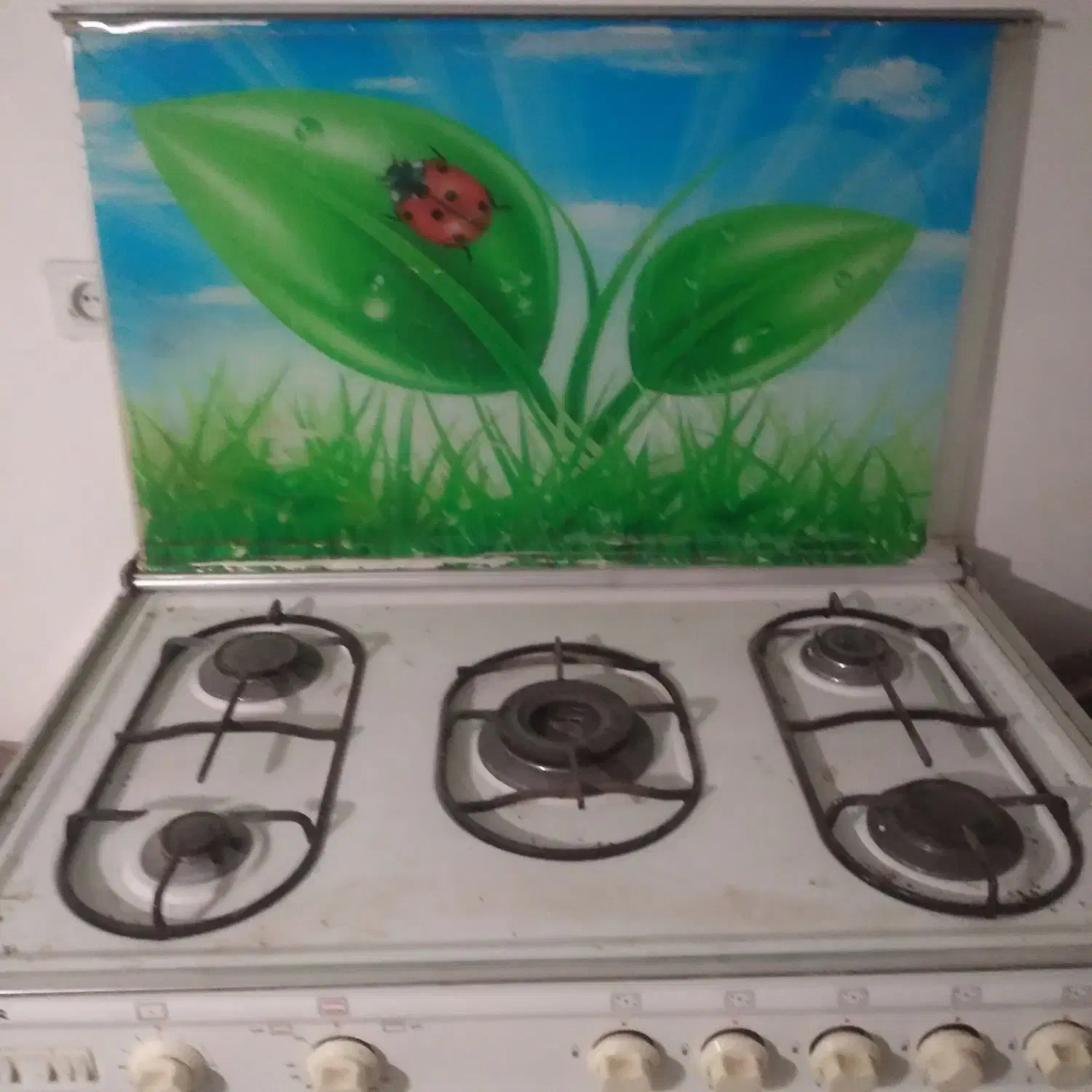 اجاق گاز|اجاق گاز و لوازم برقی پختوپز|هشتگرد, هیو|دیوار