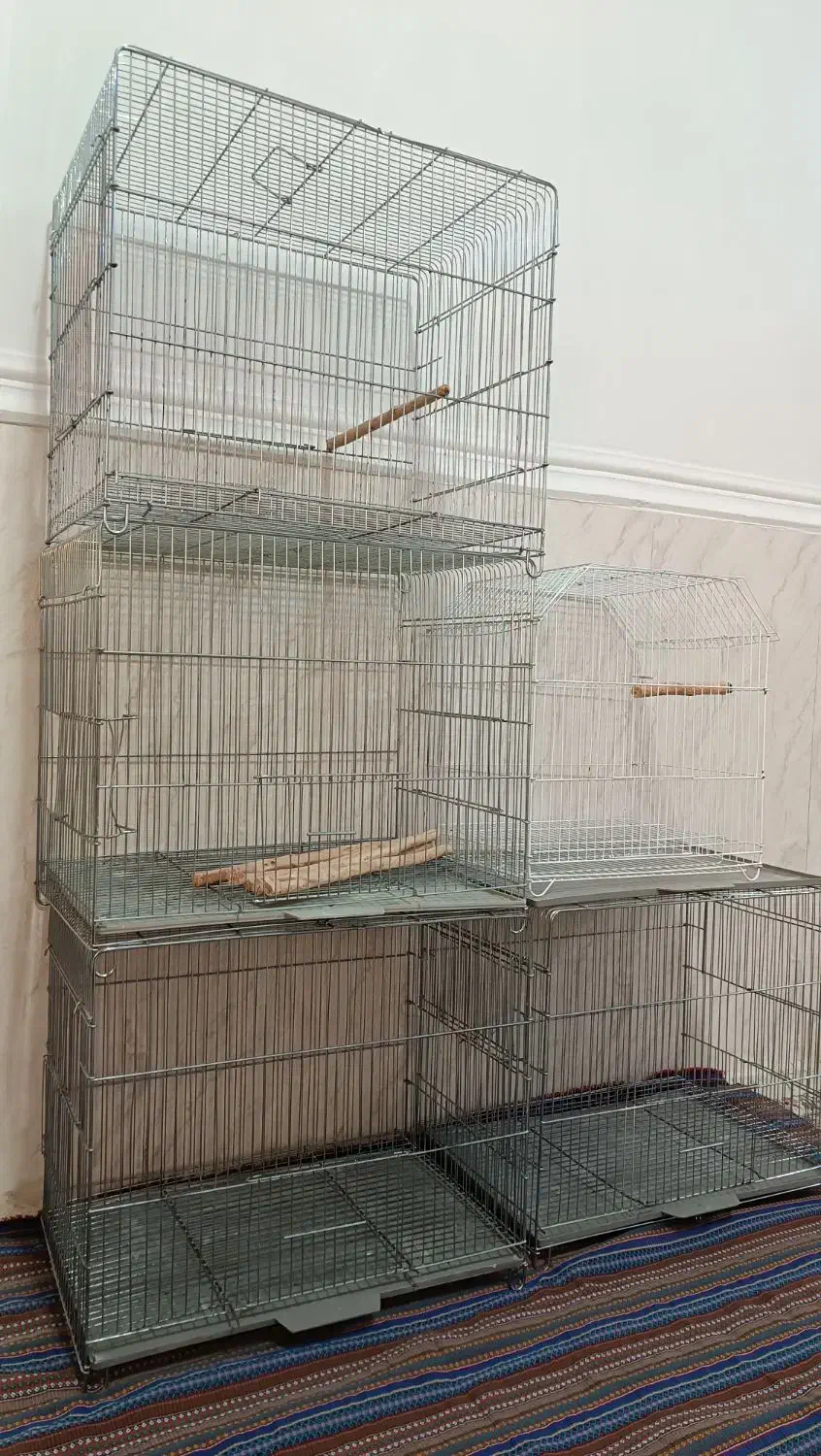 قفس|لوازم جانبی حیوانات|اهواز, غیزانیه|دیوار