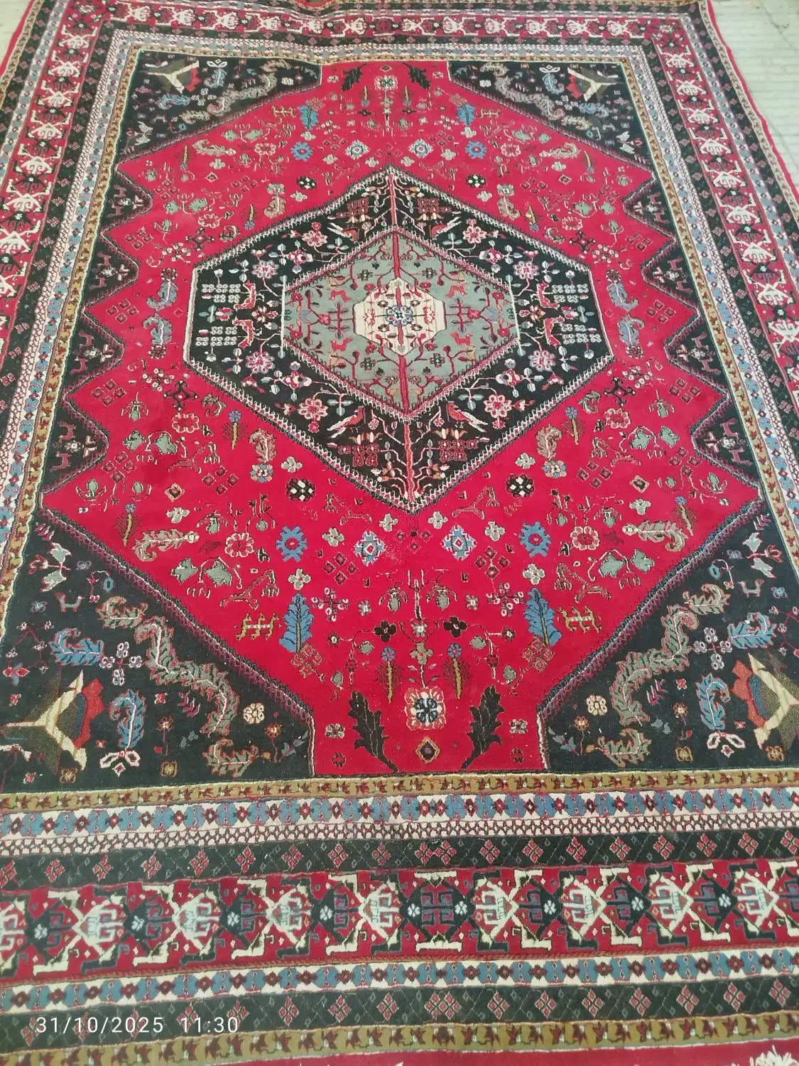 جفت 12متری قرمز رنگ خوش 500شانه|فرش|نظرآباد, رسالت|دیوار