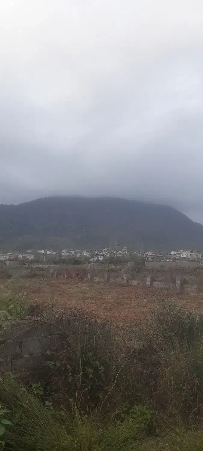 ۳۳۰ متری دوبر باغی هلوکله شمشاد کاسبی|فروش زمین و ملک کلنگی|چابکسر, |دیوار