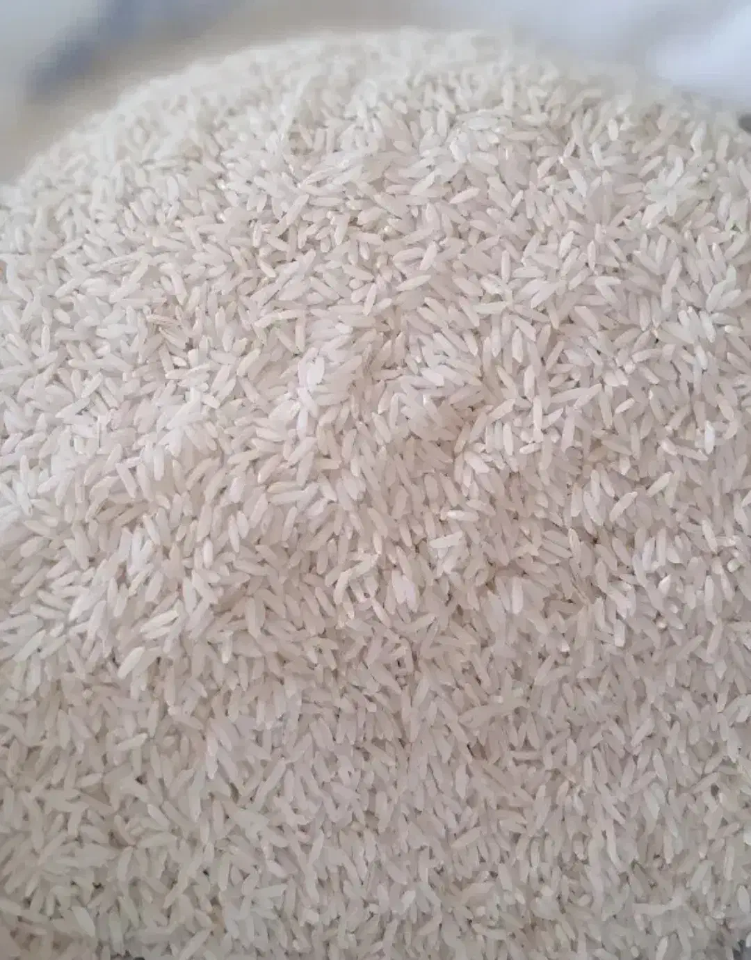 برنج هاشمی اورگانیک|خوردنی و آشامیدنی|اسالم, |دیوار