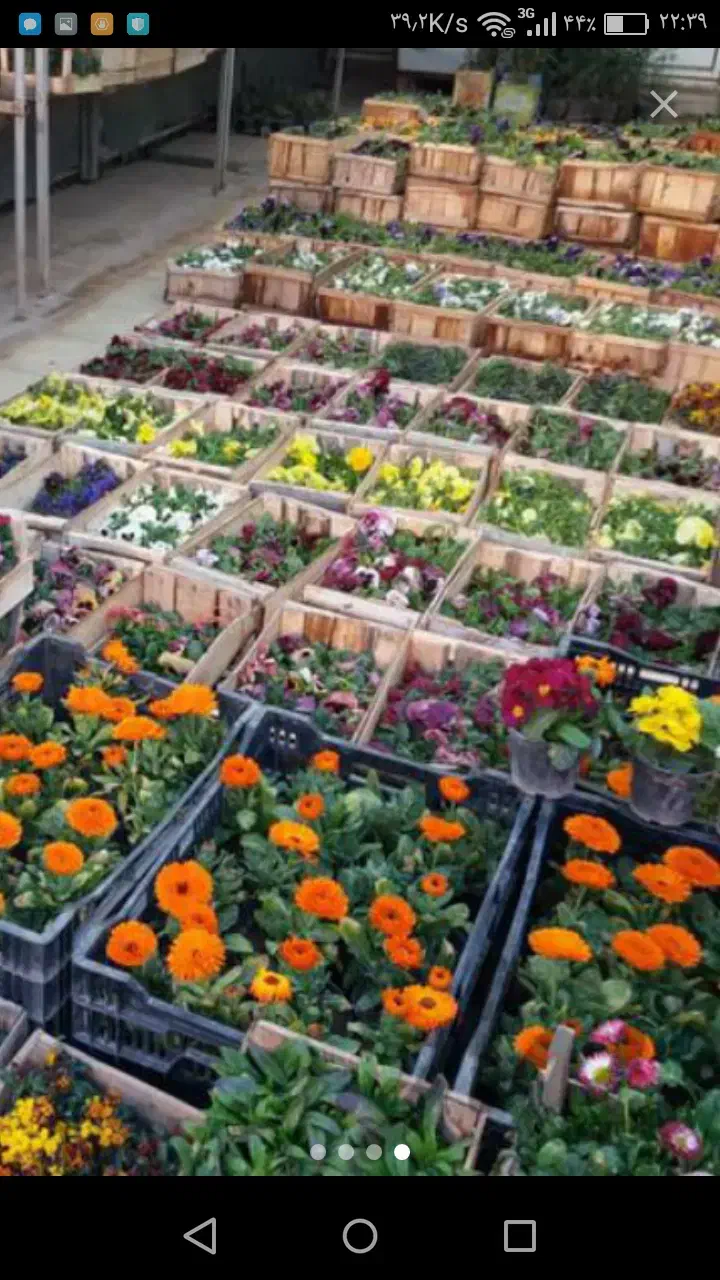 خدمات باغبانی و سمپاشی با ضمانت و فاکتور|خدمات باغبانی و درختکاری|تهران, ونک|دیوار