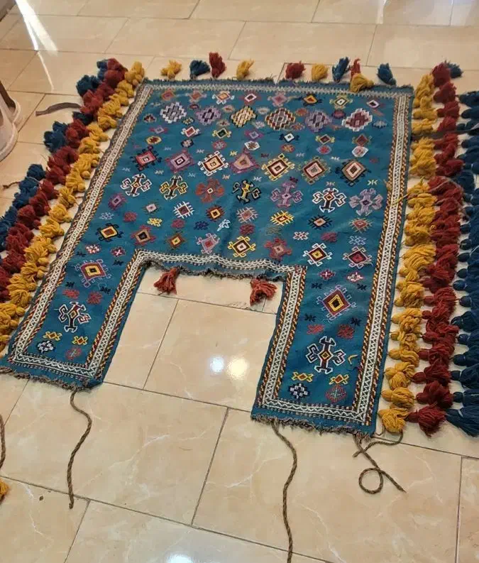 جل اسب|اسب و تجهیزات اسبسواری|اصفهان, براآن شمالی|دیوار