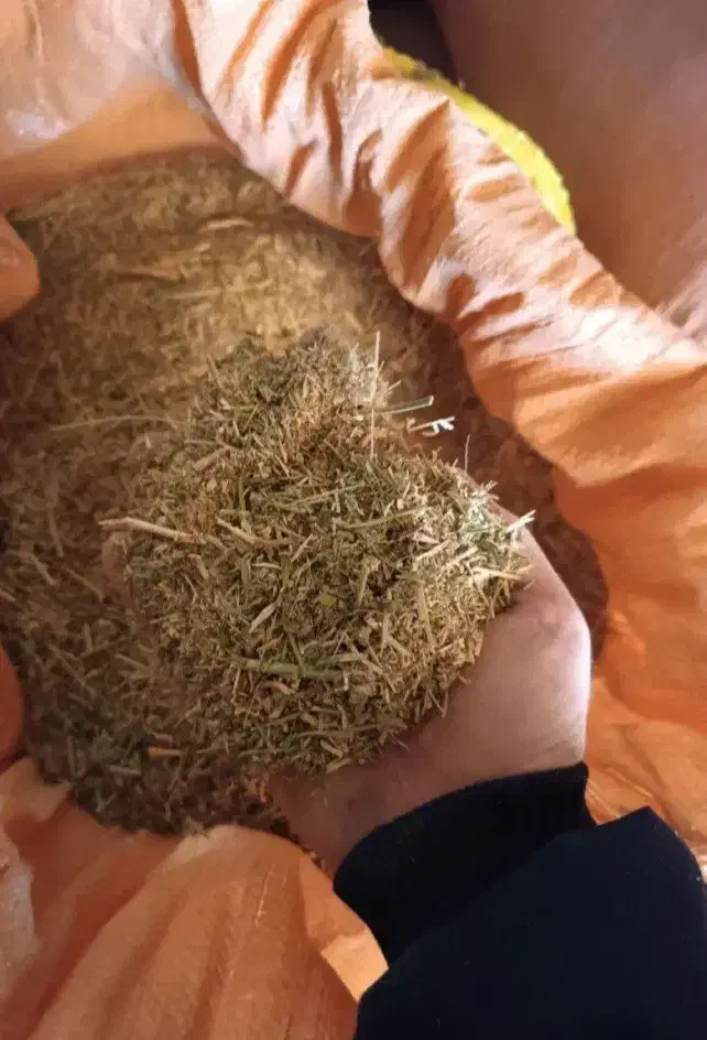 یونجه|عمده‌فروشی|دینور, |دیوار