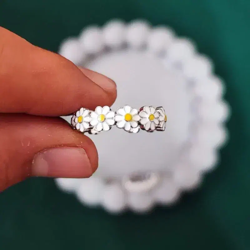 بدلیجات|بدلیجات|رزن, |دیوار