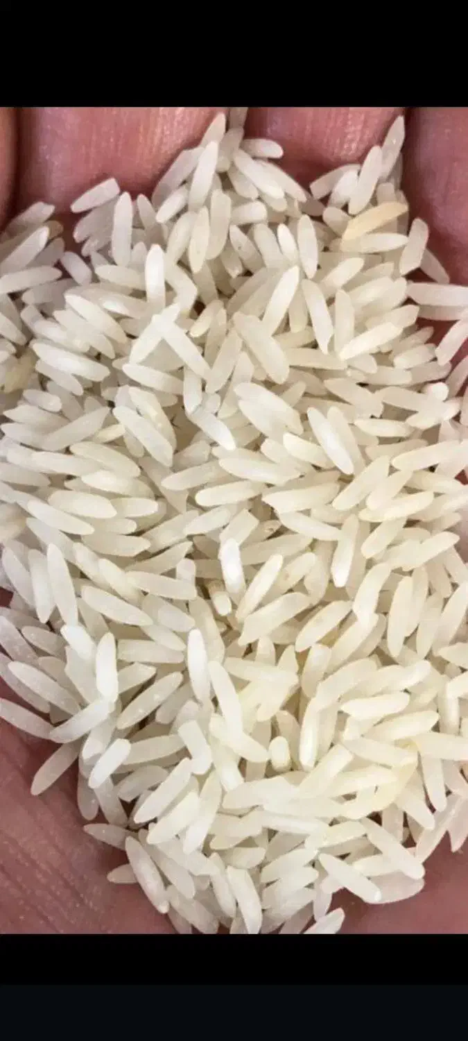 برنج فجر|خوردنی و آشامیدنی|شیراز, محراب|دیوار