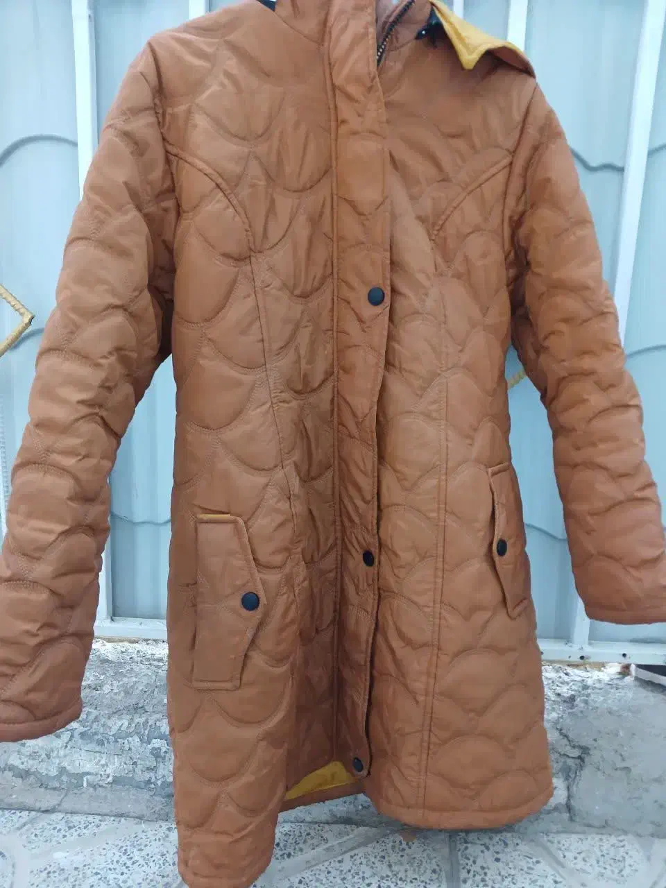 کاپشن زنانع|لباس|دورود, |دیوار