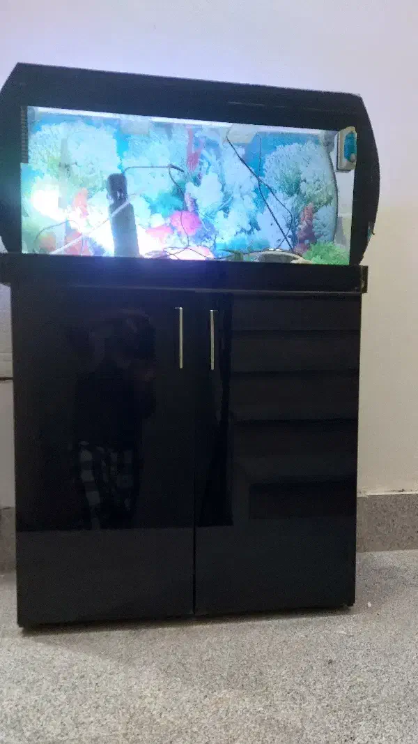 اکواریوم به همراه کمد ام دی اف|ماهی|مشهد, عامل|دیوار